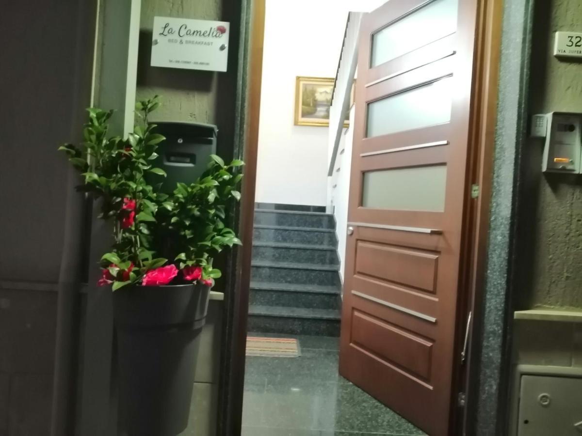 B&B La Camelia Сантерамо ин Коле Екстериор снимка